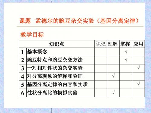 01  第1章  遗传因子的发现(FX)