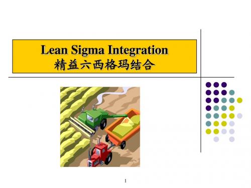 Lean_Sigma_Integration