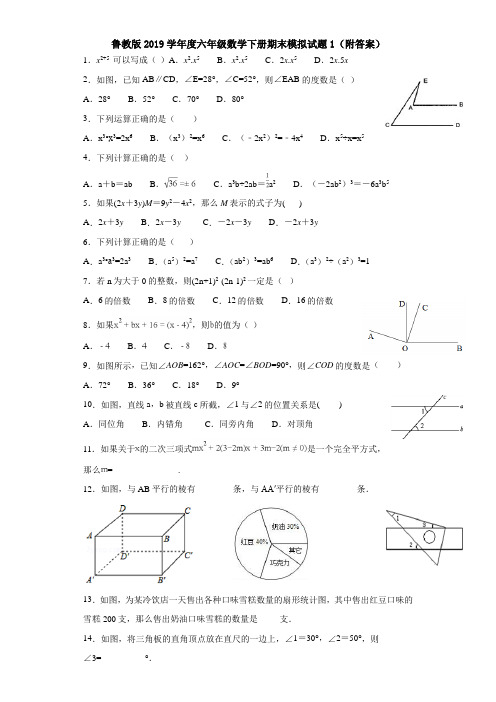 鲁教版2019学年度六年级数学下册期末模拟试题1(附答案)