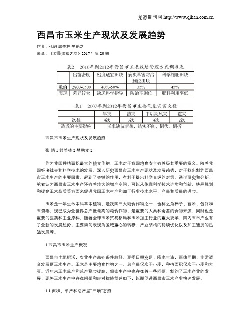 西昌市玉米生产现状及发展趋势