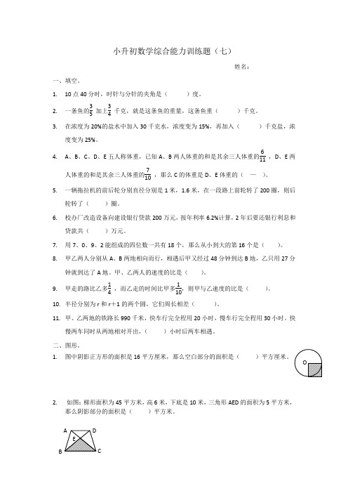 小升初数学综合能力训练题7