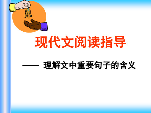 高考语文理解文中重要句子的含义课件