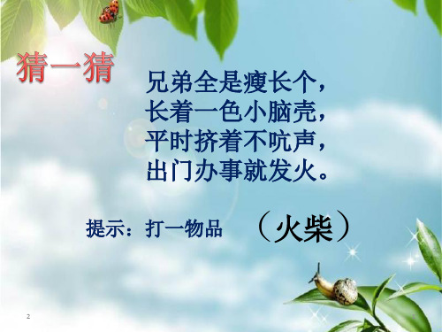 巧移火柴棒(课堂PPT)