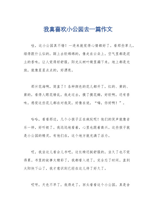 我真喜欢小公园去一篇作文