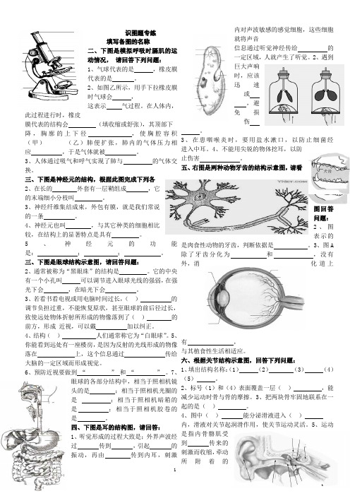 初二生物会考识图专题练习