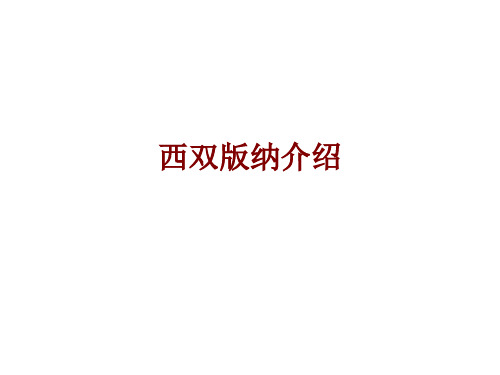 西双版纳介绍