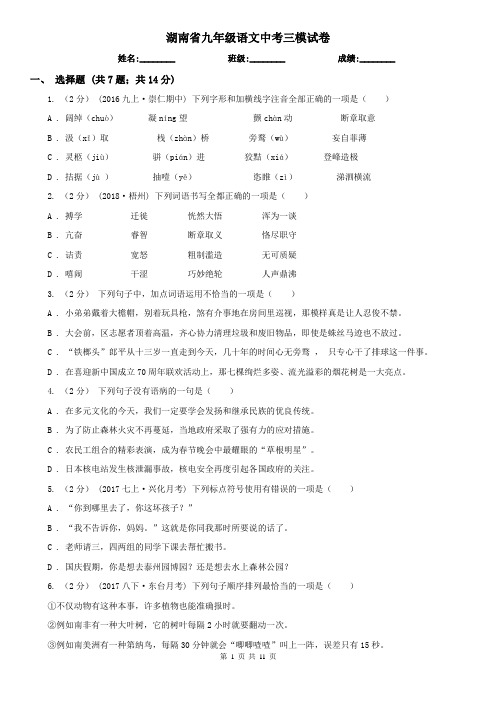 湖南省九年级语文中考三模试卷