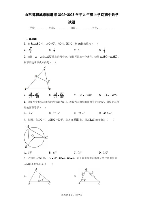 山东省聊城市临清市2022-2023学年九年级上学期期中数学试题