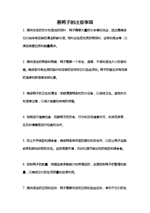 养鸭子的注意事项