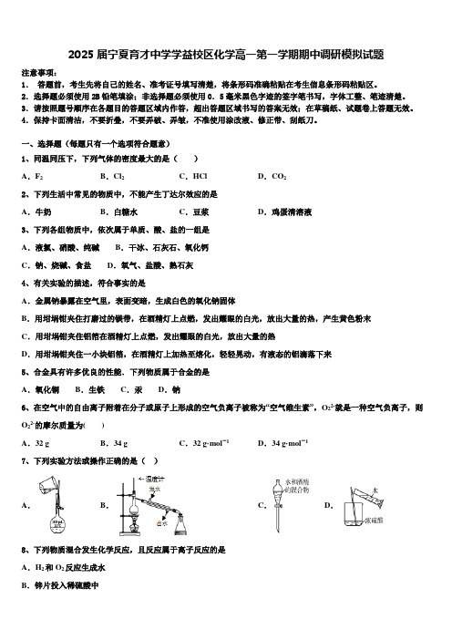 2025届宁夏育才中学学益校区化学高一第一学期期中调研模拟试题含解析