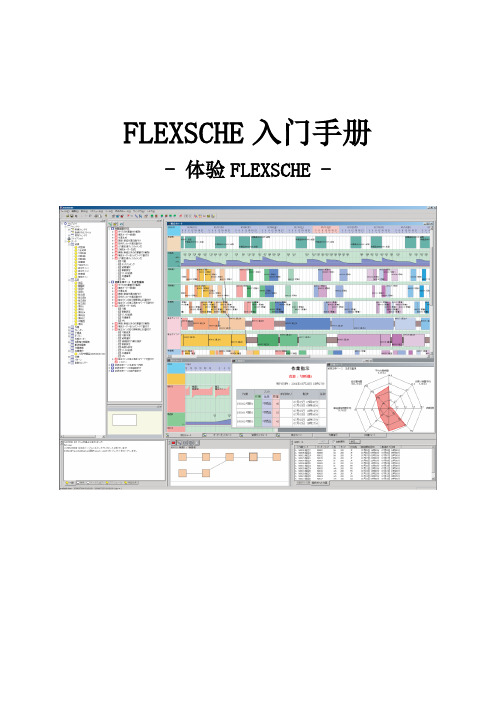 FLEXSCHE入门手册