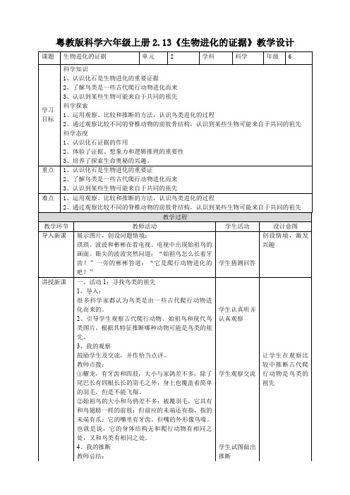 六年级上册科学教案2.13《生物进化的证据》  粤教版