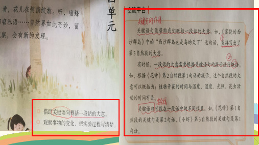 小学课件：借助关键句概括一段话大意