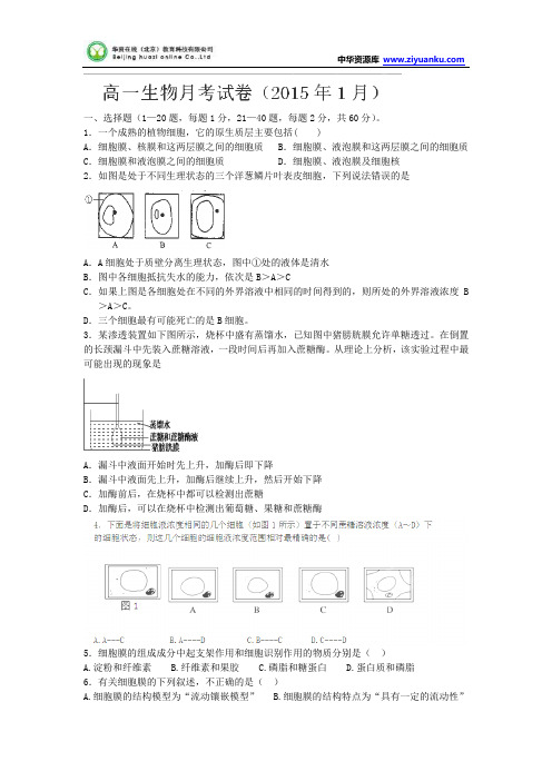 山东省枣庄第八中学2014-2015学年高一1月月考生物试题