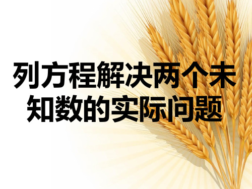 《列方程解决两个未知数的实际问题》教学课件