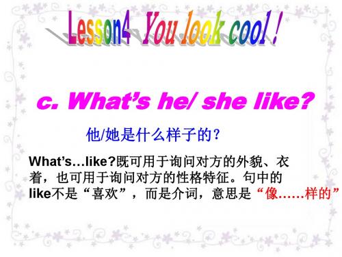 译林版初中预备教材Lesson4 you look cool(3)