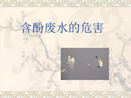 含酚废水的危害