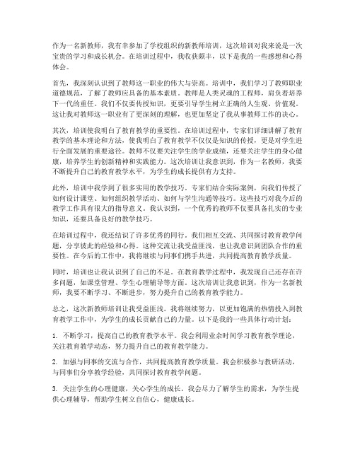 新教师培训感想心得体会