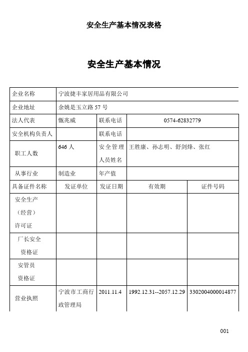 安全生产基本情况表格