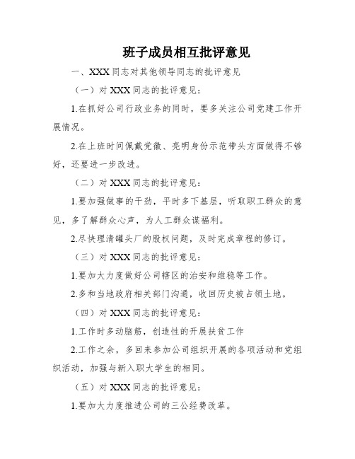 班子成员相互批评意见