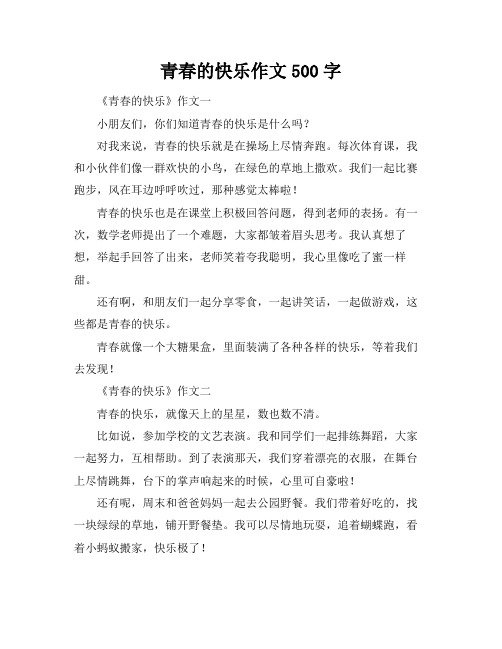 青春的快乐作文500字