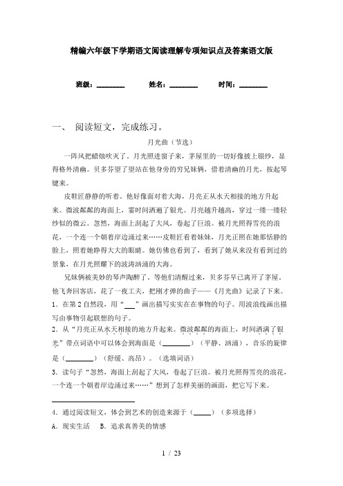 精编六年级下学期语文阅读理解专项知识点及答案语文版