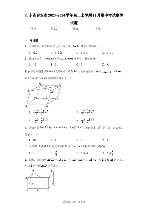 山东省泰安市2023-2024学年高二上学期11月期中考试数学试题