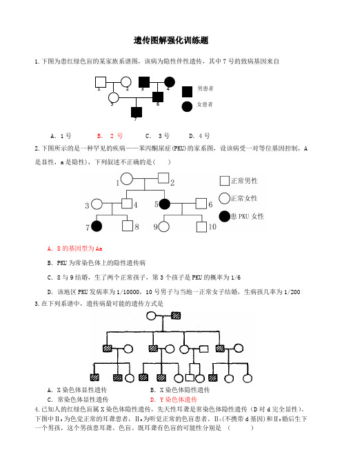 遗传图解强化训练题