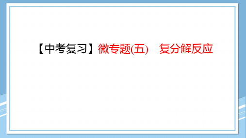 2023年中考化学二轮复习微专题五复分解反应