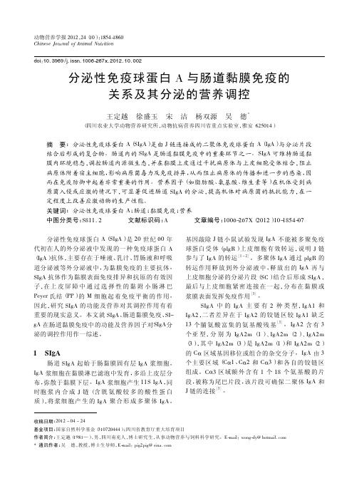 分泌性免疫球蛋白A与肠道黏膜免疫的关系及其分泌的营养调控