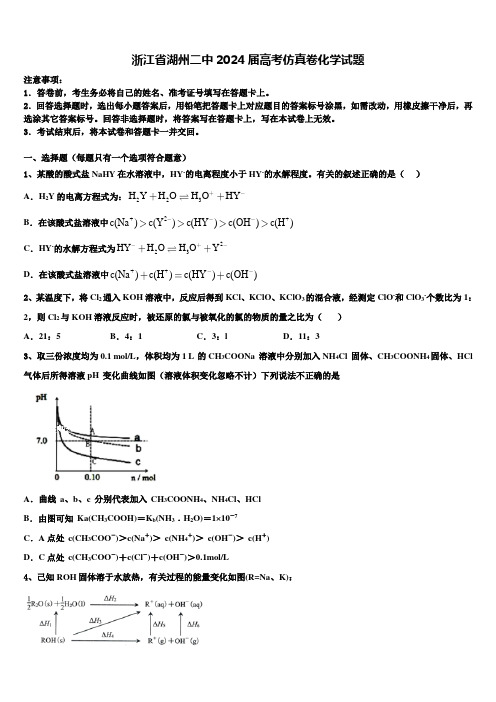 浙江省湖州二中2024届高考仿真卷化学试题含解析