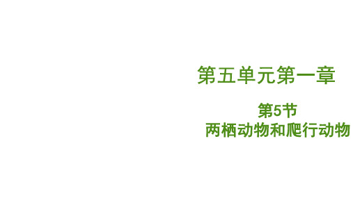 两栖动物和爬行动物(2022-2023学年八年级上册生物(人教版)