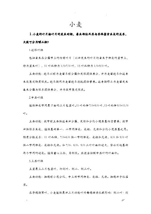 作物栽培学各论复习资料