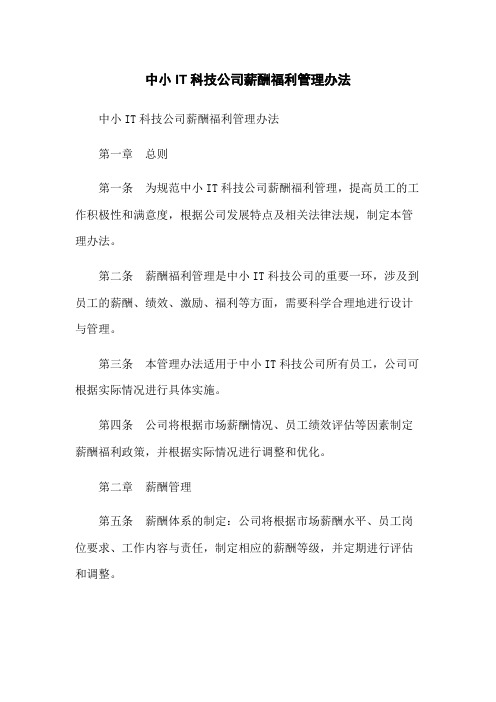 中小IT科技公司薪酬福利管理办法