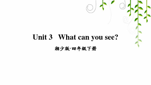 湘少版四年级英语下册Unit 3   What can you see