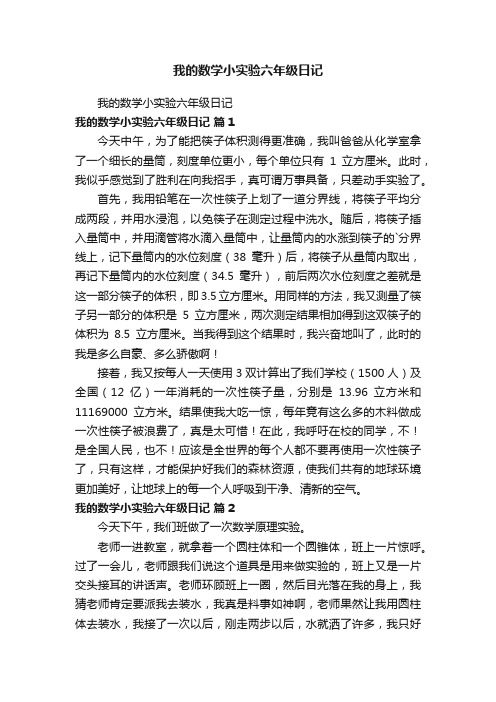 我的数学小实验六年级日记