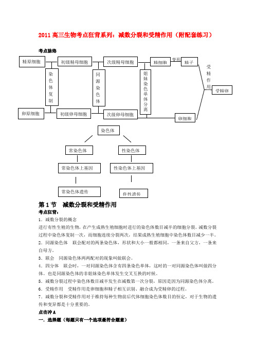 高考生物总复习备考考点必背知识 减数分裂和受精作用