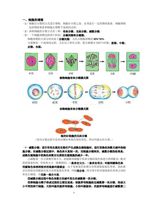 高中生物遗传讲义(有答案)