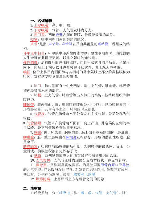 解剖学练习题—呼吸系统