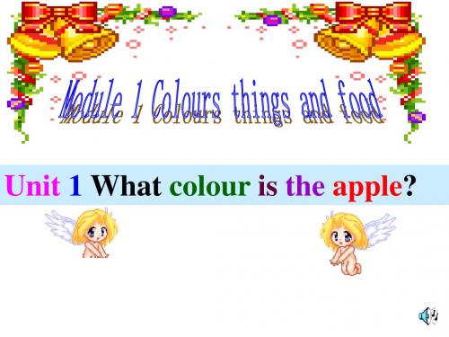 七年级英语What-colour-is-the-apple课件4