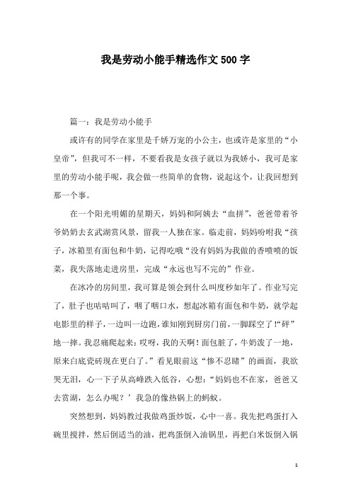 我是劳动小能手精选作文500字