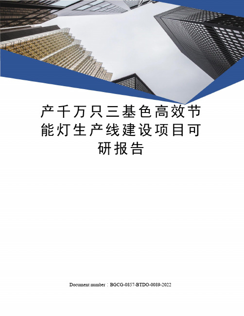 产千万只三基色高效节能灯生产线建设项目可研报告