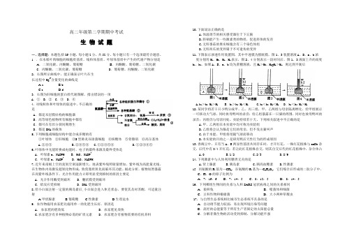 高二生物第二学期期中考试