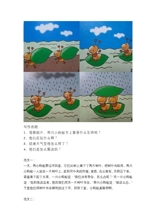 看图写话《聪明的小蚂蚁》_熊图熊话