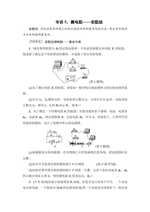 沪科版九年级物理上册 专训5：测电阻——安阻法【新版】