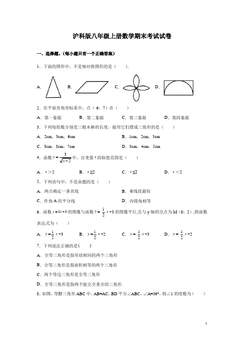 沪科版八年级上册数学期末考试试题含答案