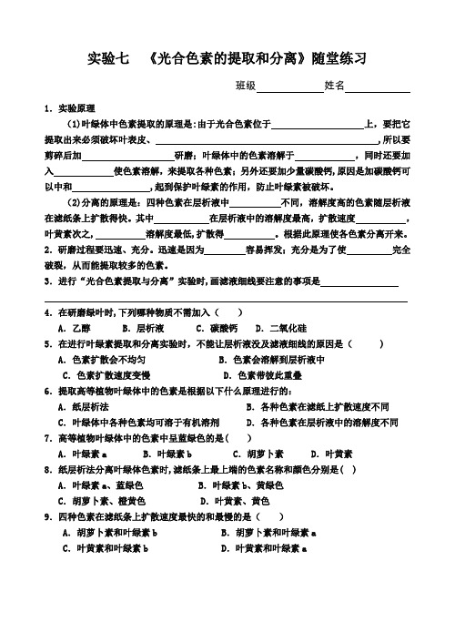 光合色素的提取和分离