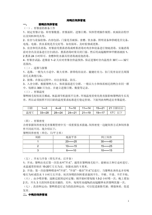 肉鸭、蛋鸭的饲养管理