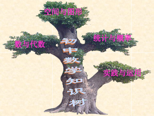 七年级数学上册知识树(北师版)