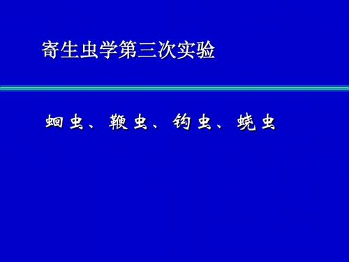 人体寄生虫学实验   线虫(实验课)